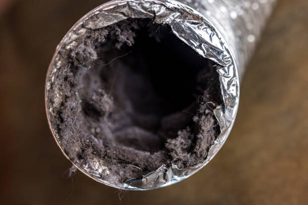 Best Duct Cleaning Specialists  in Woodland, CA