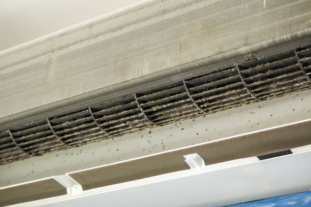Best Air Duct Cleaning Company Near Me  in Woodland, CA